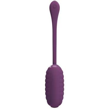 PRETTY LOVE CASPER HUEVO VIBRADOR RECARGABLE MORADO